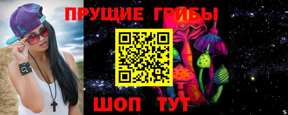 Псилоцибиновые грибы MAGIC MUSHROOMS Звенигород